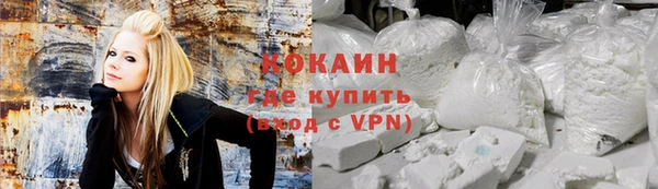 2c-b Ельня