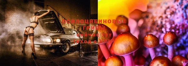2c-b Абаза