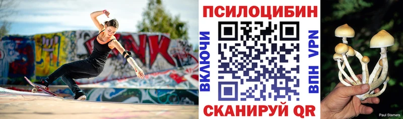Галлюциногенные грибы Psilocybine cubensis  Вытегра 
